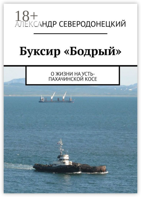 Буксир «Бодрый». О жизни на Усть-Пахачинской косе