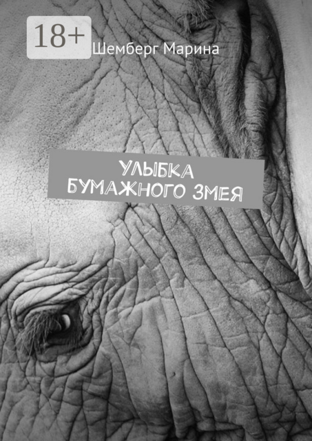 Улыбка бумажного змея, Шемберг Марина