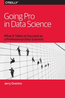 Going Pro in Data Science
