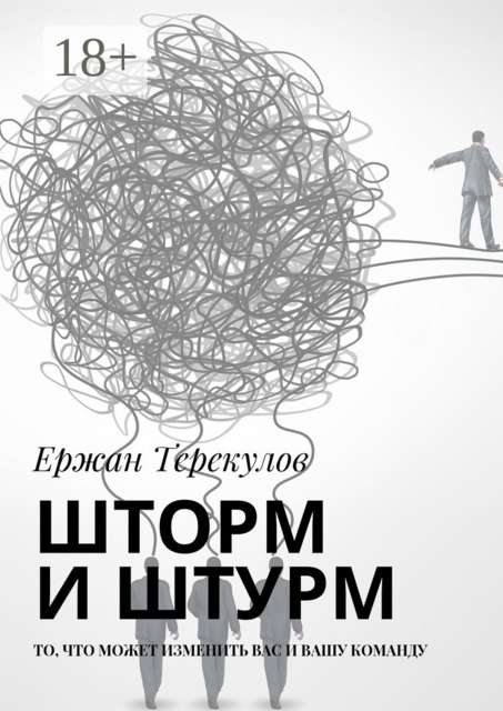 Шторм и штурм. То, что может изменить вас и вашу команду, Ержан Терекулов