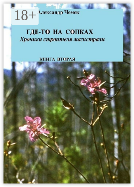 Где-то на сопках. Хроники строителя магистрали. Книга вторая, Александр Чемек