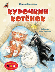 Три котёнка. Чёрный, рыжий, белый
