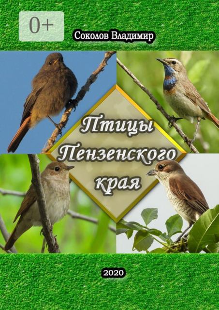 Птицы Пензенского края. Или моя первая фотовыставка