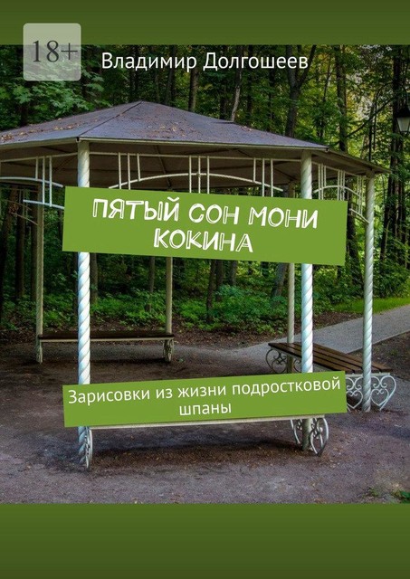 Пятый сон Мони Кокина. Зарисовки из жизни подростковой шпаны