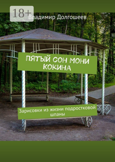 Пятый сон Мони Кокина. Зарисовки из жизни подростковой шпаны, Владимир Долгошеев