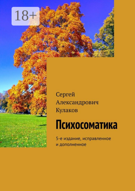 Психосоматика, Сергей Кулаков