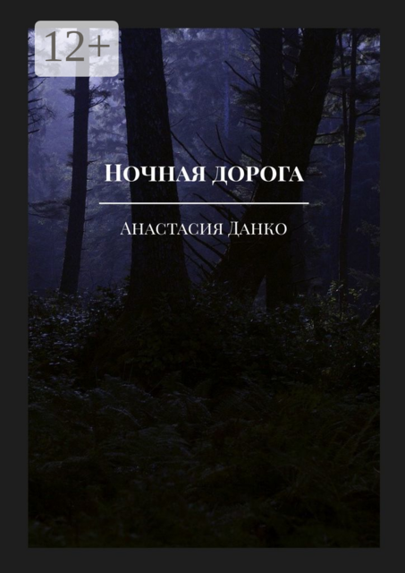 Ночная дорога