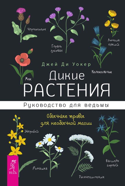 Дикие растения: руководство для ведьмы. Обычные травы для необычной магии
