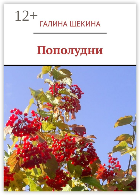 Пополудни. Книга стихов