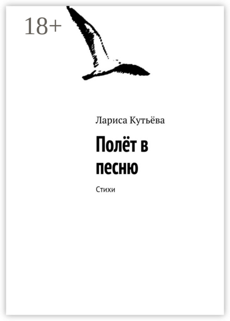 Полёт в песню