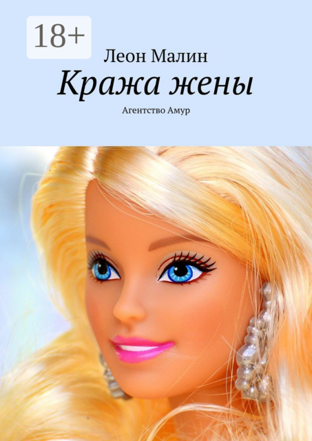 Кража жены. Агентство Амур