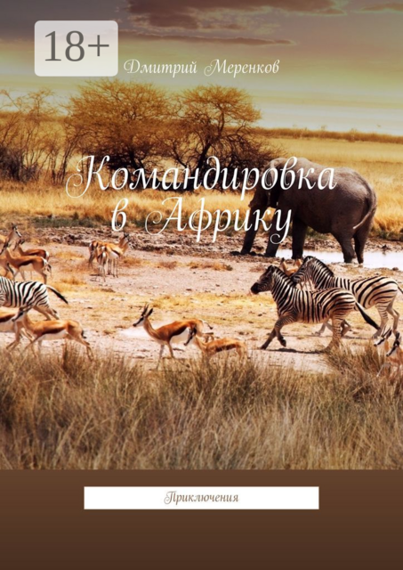 Командировка в Африку. Приключения, Дмитрий Меренков