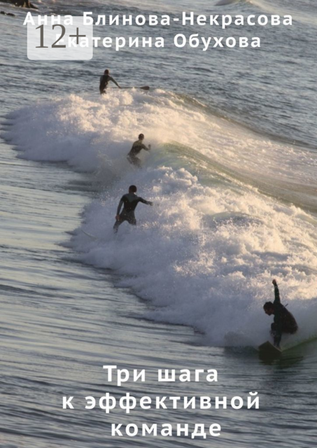Три шага к эффективной команде, Анна Блинова-Некрасова, Екатерина Обухова
