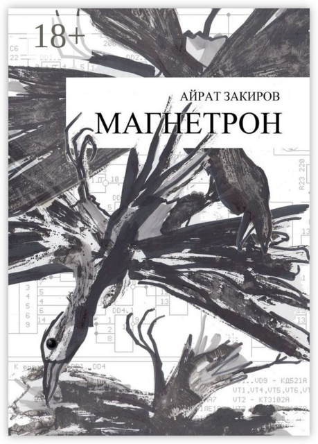 Магнетрон, Айрат Закиров