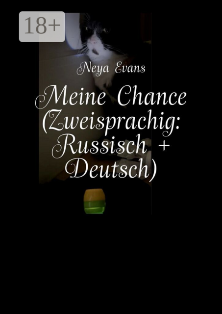 Meine Chance (Zweisprachig: Deutsch + Russisch). Oder Das lustigste Buch darüber, wie man das Glück nicht verpasst