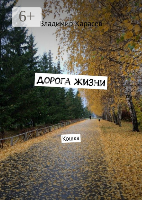Дорога жизни. Кошка, Владимир Карасев