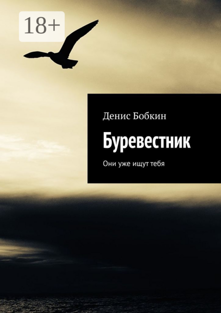 Буревестник. Они уже ищут тебя, Денис Бобкин