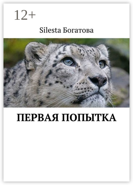 Первая попытка