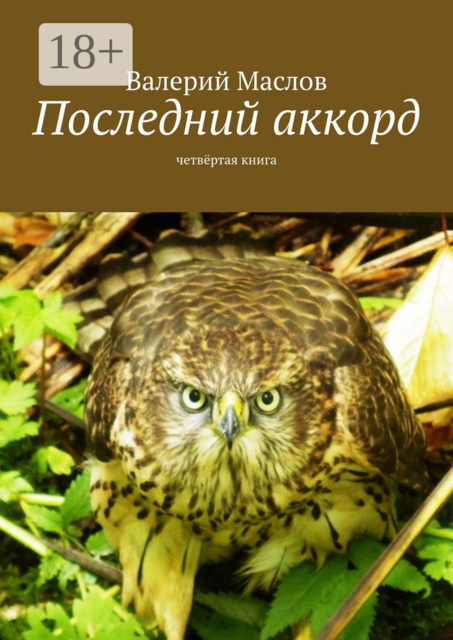 Последний аккорд. Четвёртая книга