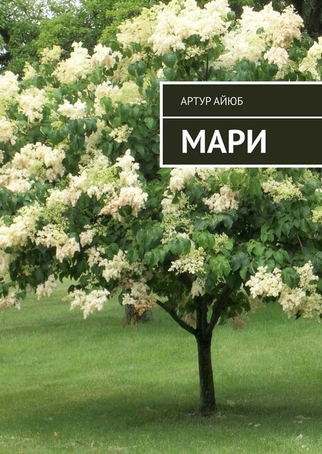 Мари