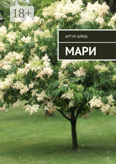 Мари, Артур Айюб