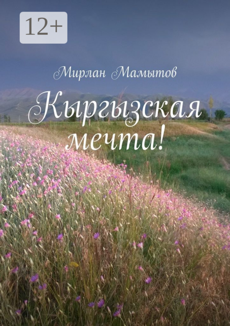 Кыргызская мечта, Мирлан Мамытов