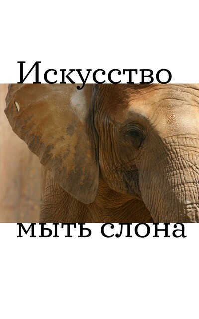 Дизайн пользовательского интерфейса ➁. Искусство мыть слона: Версия 2.11, обновление от 20.5.2010