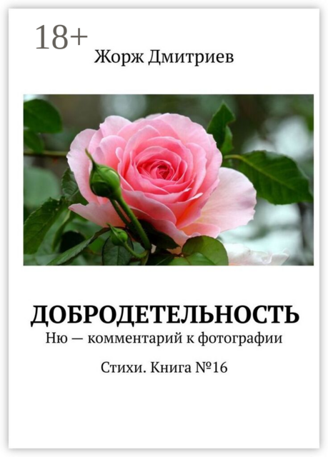 Добродетельность. Ню — комментарий к фотографии