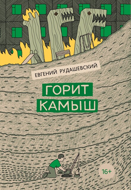 Горит камыш, Евгений Рудашевский