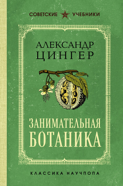 Занимательная ботаника