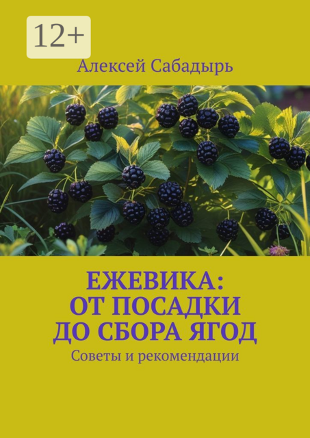 Ежевика: От посадки до сбора ягод. Советы и рекомендации, Алексей Сабадырь