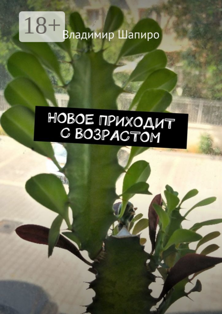 Новое приходит с возрастом, Владимир Шапиро