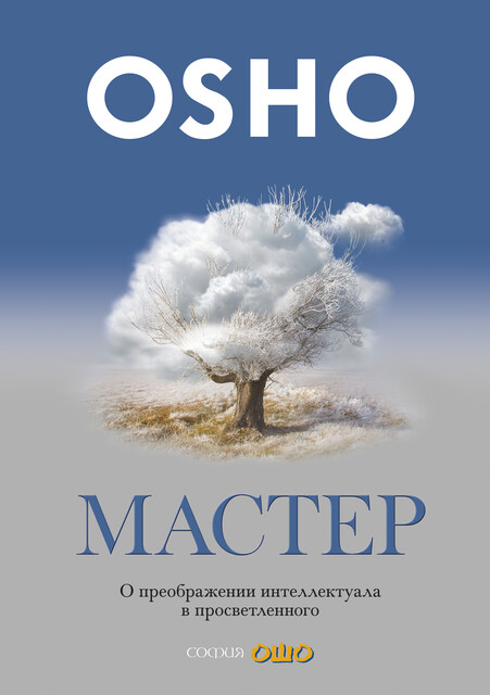 Мастер