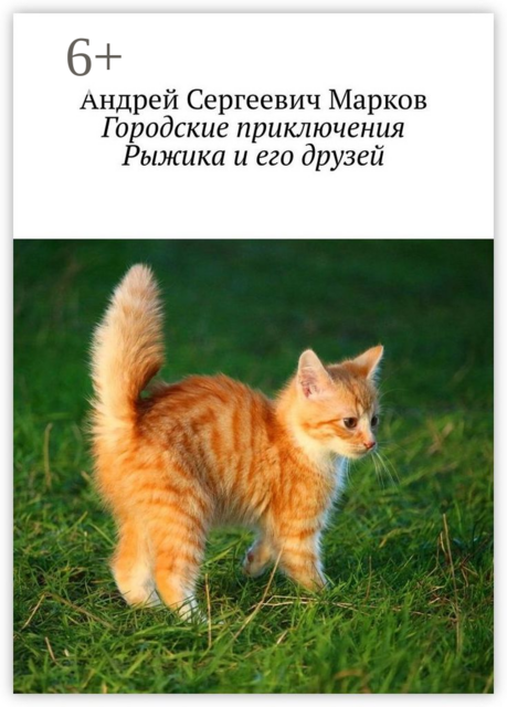 Городские приключения Рыжика и его друзей