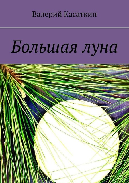 Большая луна, Валерий Касаткин