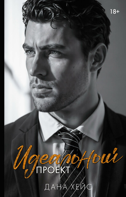Идеальный проект