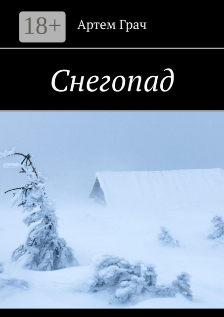 Снегопад, Артем Грач