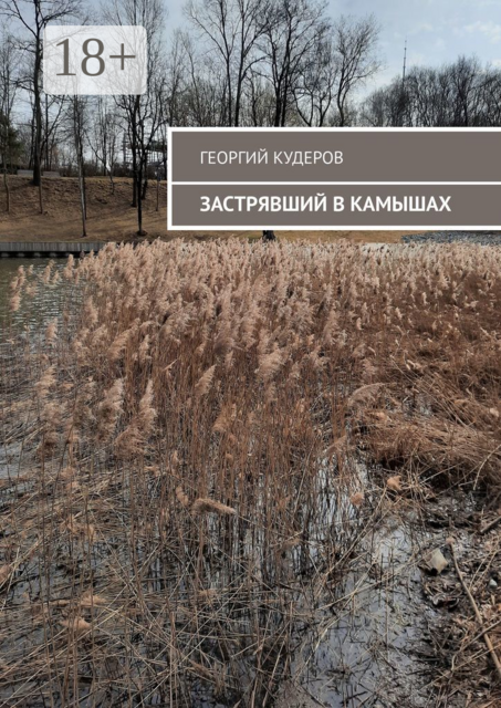 Застрявший в камышах