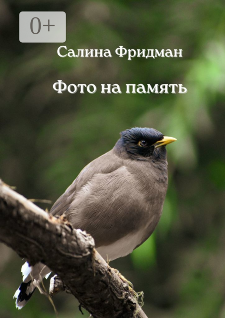 Фото на память