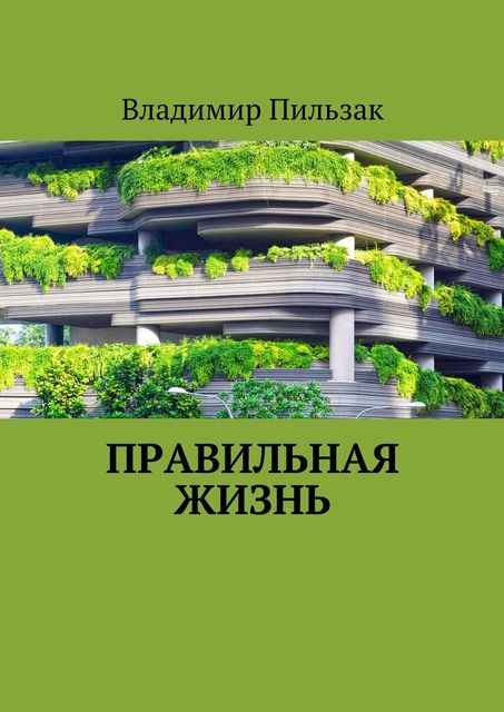 Правильная жизнь, Владимир Пильзак