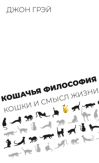Кошачья философия. Кошки и смысл жизни