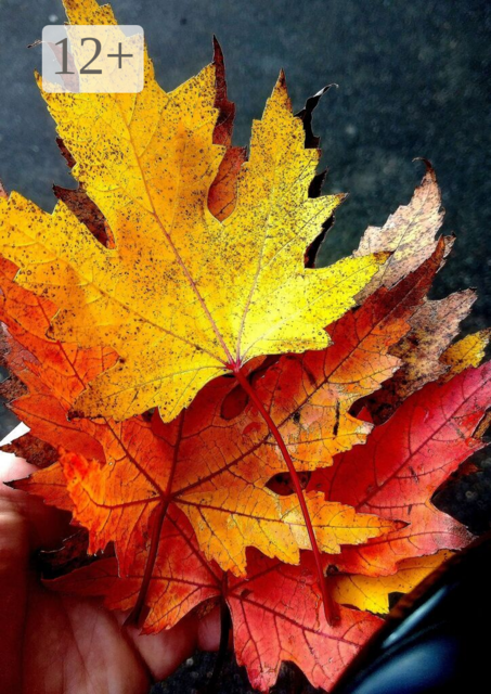 Большое поэтическое путешествие в страну детства и сбывшейся мечты. Перо пегаса