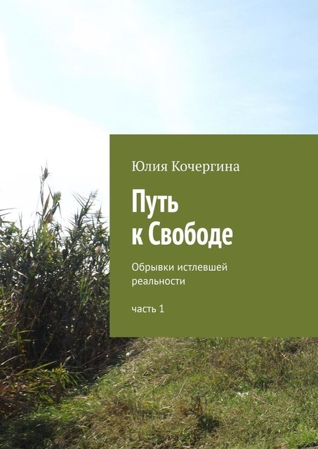 Путь к Свободе. Обрывки истлевшей реальности. Часть 1