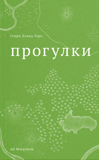 Прогулки
