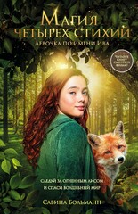 Сила четырёх стихий