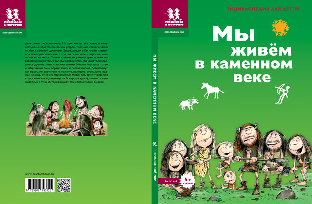 Мы живём в каменном веке