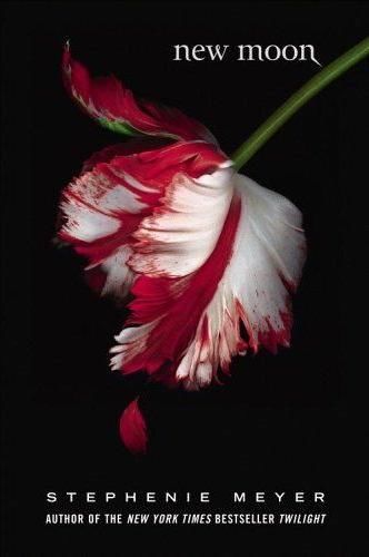 Новолуние с-2