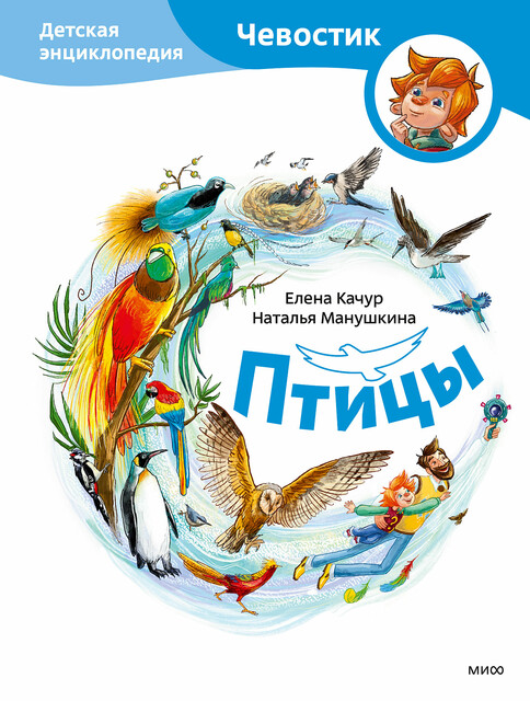 Птицы. Детская энциклопедия (Чевостик), Елена Качур, Наталья Манушкина