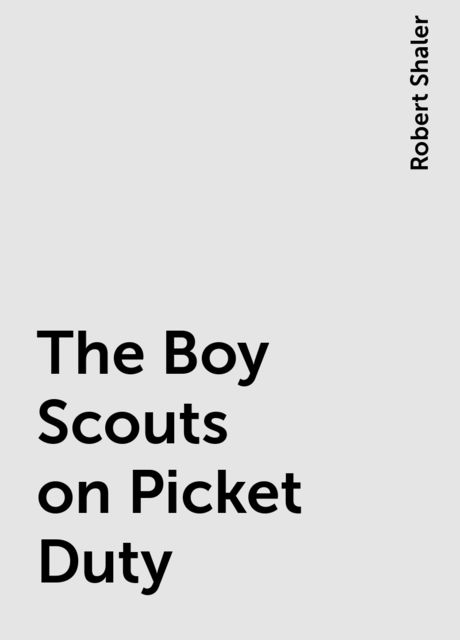 The Boy Scouts on Picket Duty