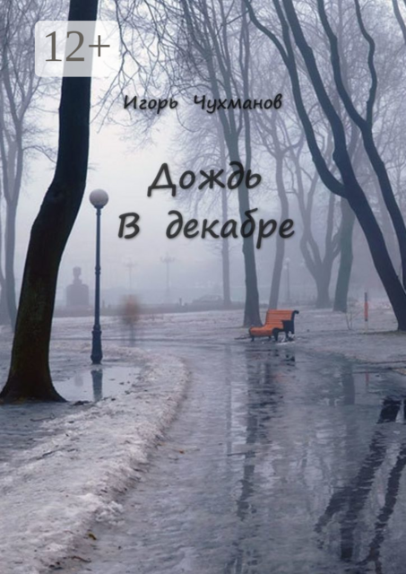 Дождь в декабре